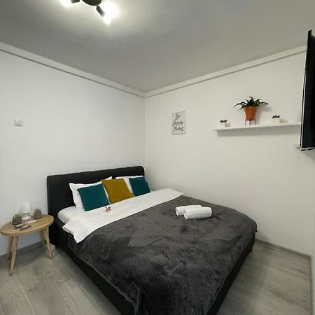 Cozy Studio Apartament Zalău Exteriér fotografie