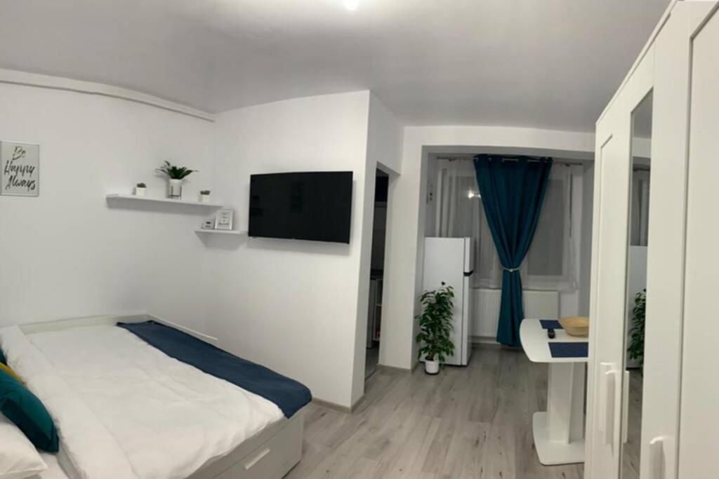 Cozy Studio Apartament Zalău Exteriér fotografie