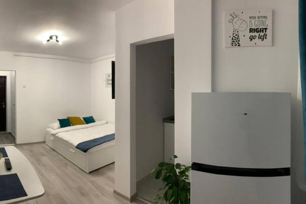 Cozy Studio Apartament Zalău Exteriér fotografie