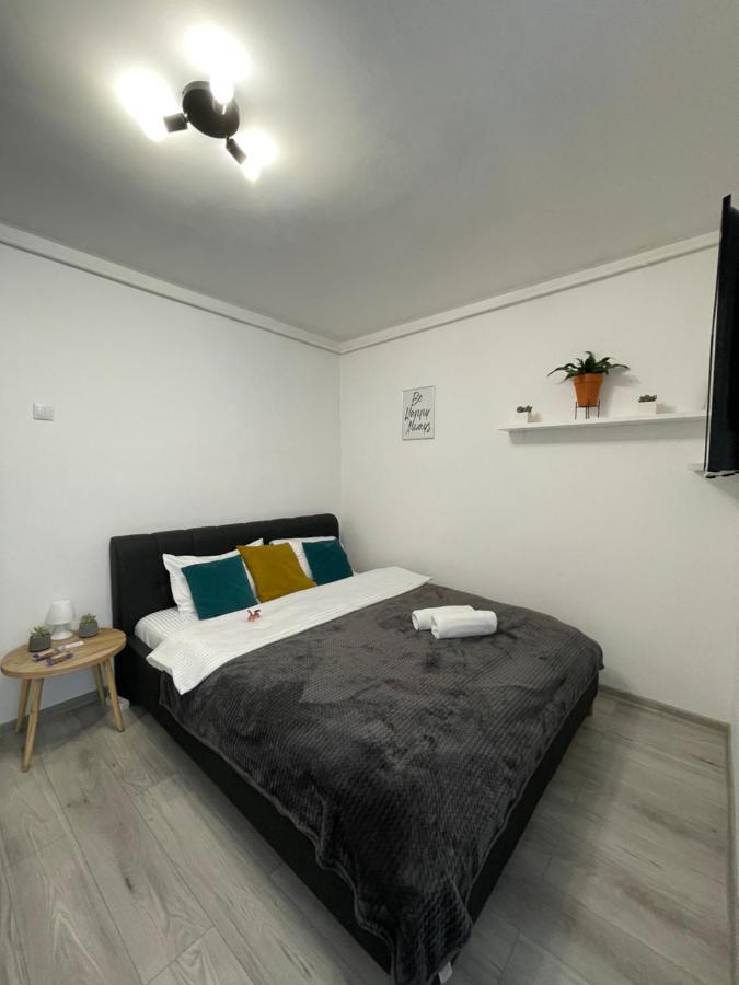 Cozy Studio Apartament Zalău Exteriér fotografie